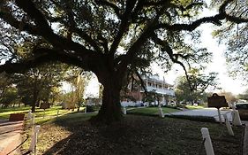 Old Castillo Bed And Breakfast